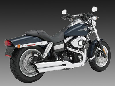 2008 FXDF